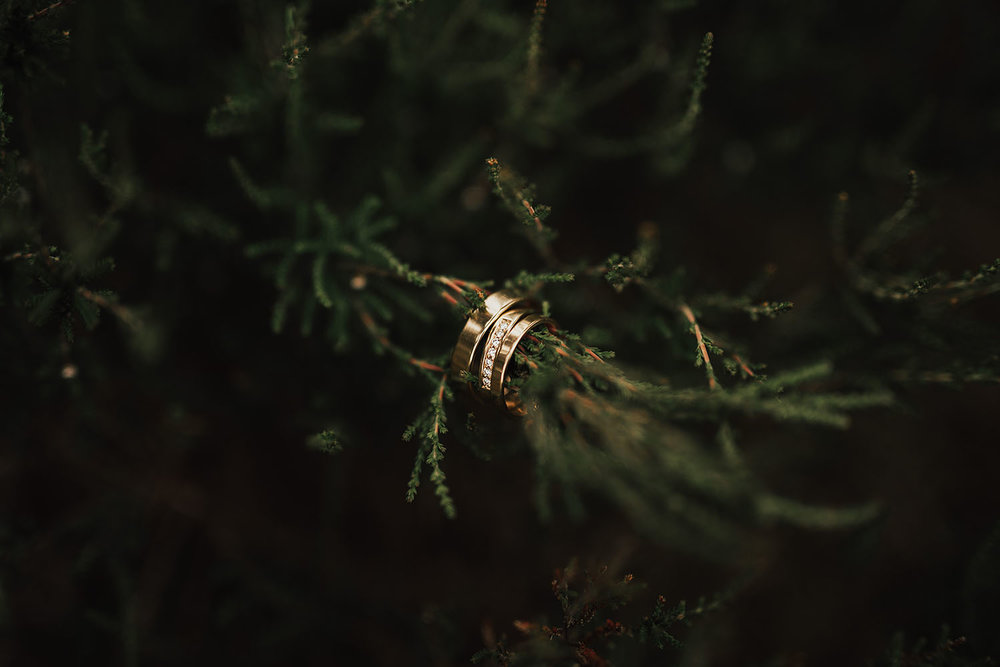 Bild på vigselringar i guld med diamanter