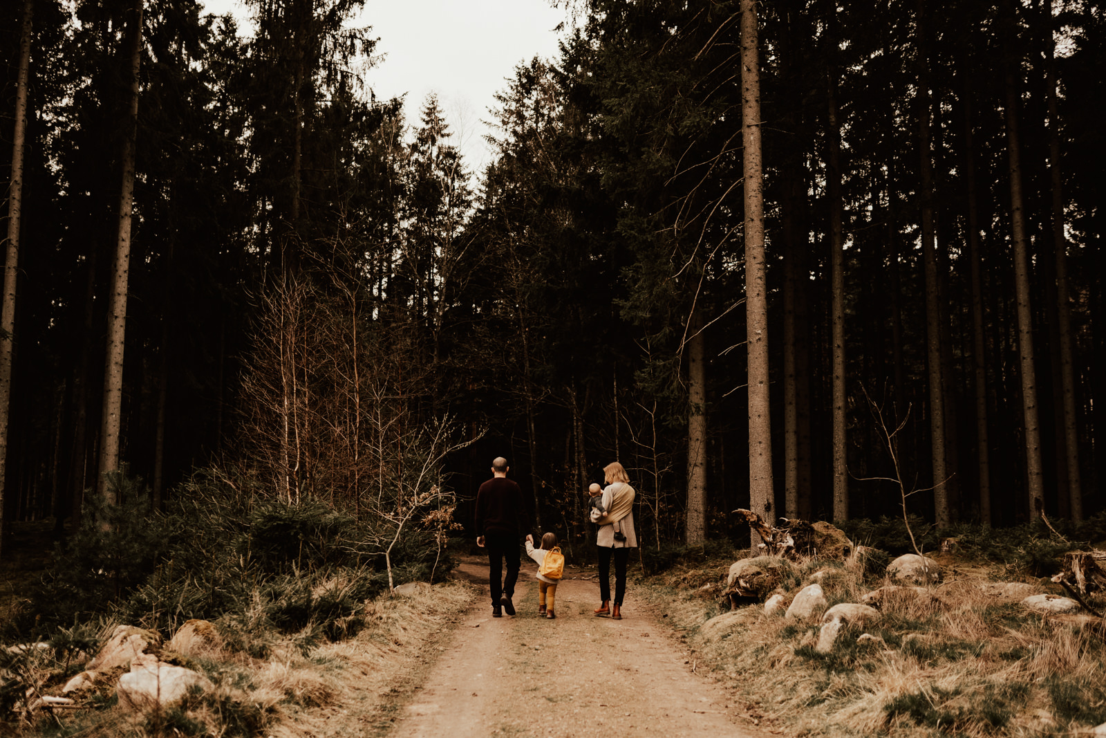 Familj med småbarn gå på stig i skogen under fotografering med Linnsej Photography i Halmstad