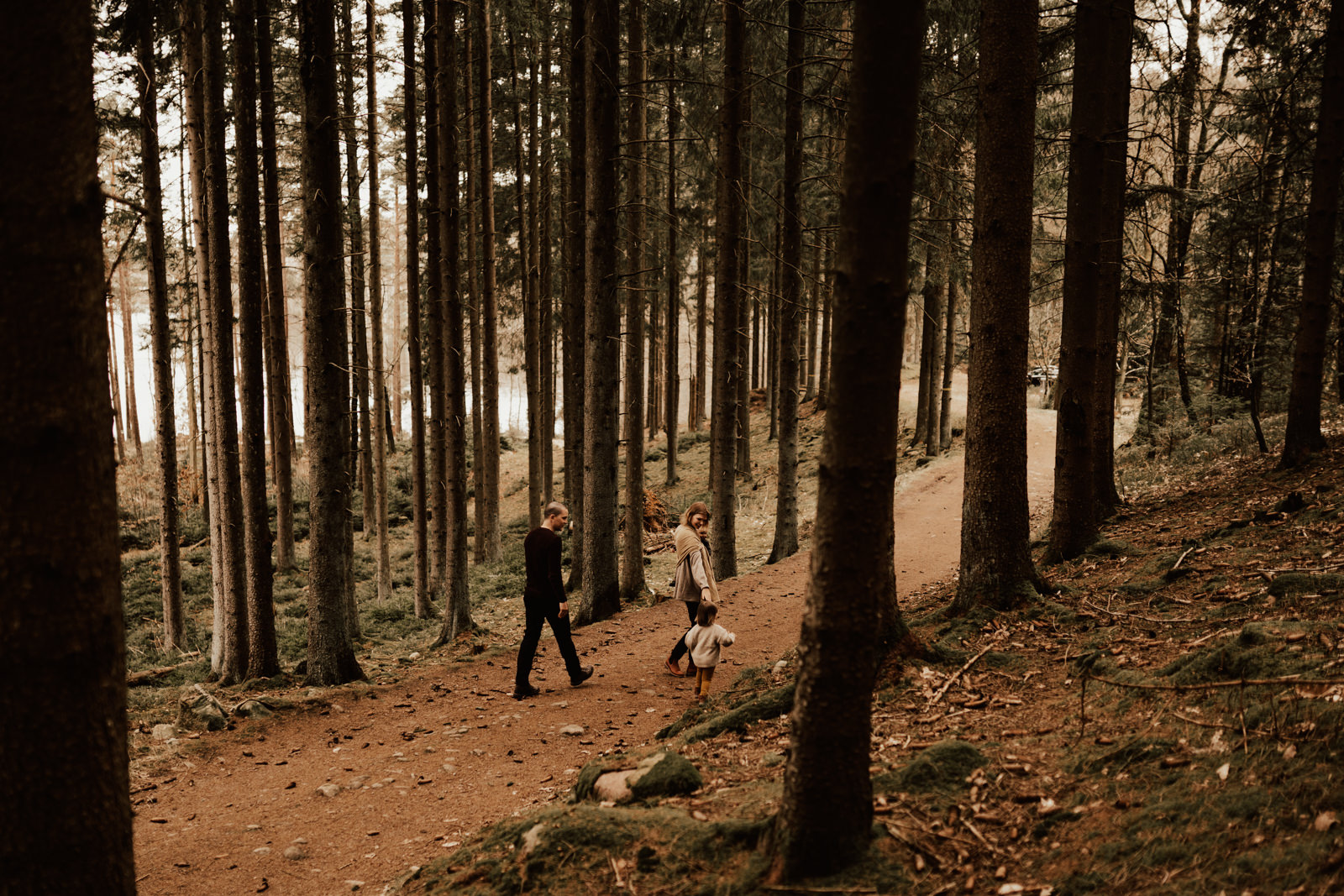 Familj går på skogsväg under familjefotografering i Halmstad