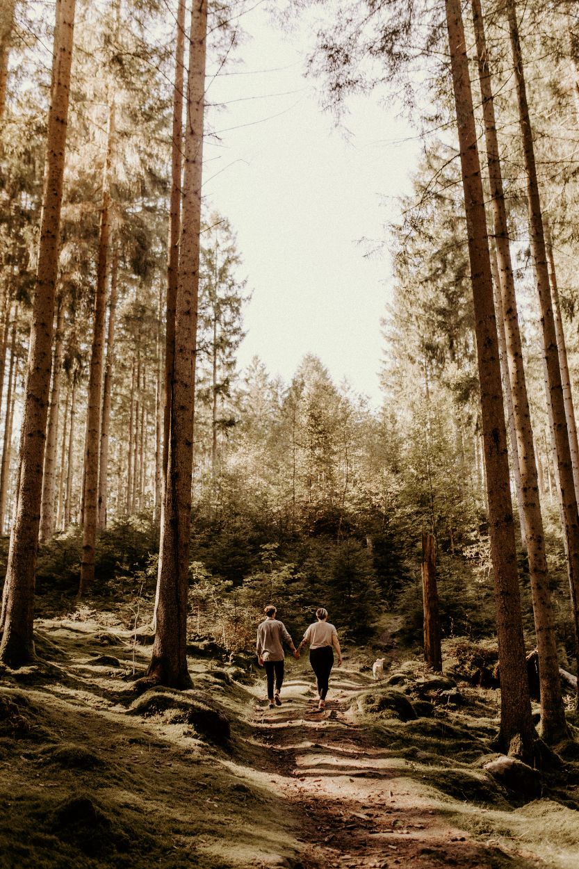 Par går med hund i skogen längs en stig.